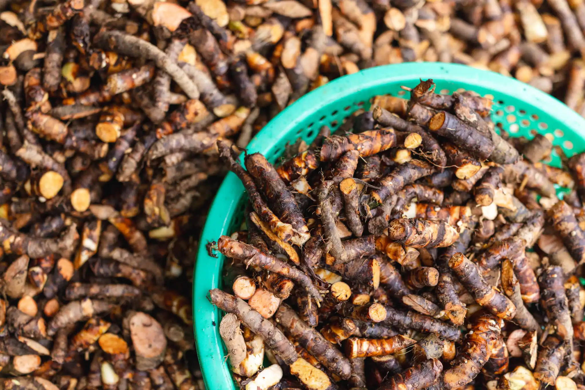 Dược liệu sạch, nguồn gốc rõ ràng